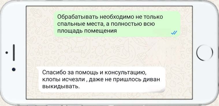 уничтожение тараканов - фото №1