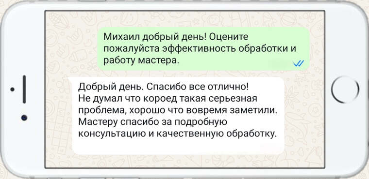 уничтожение тараканов - фото №12
