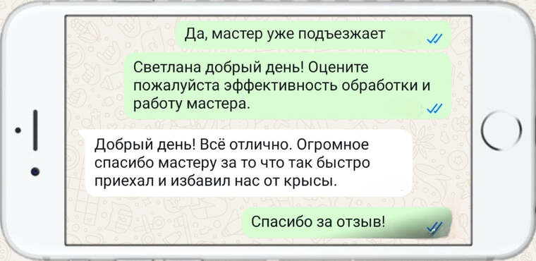 уничтожение тараканов - фото №30