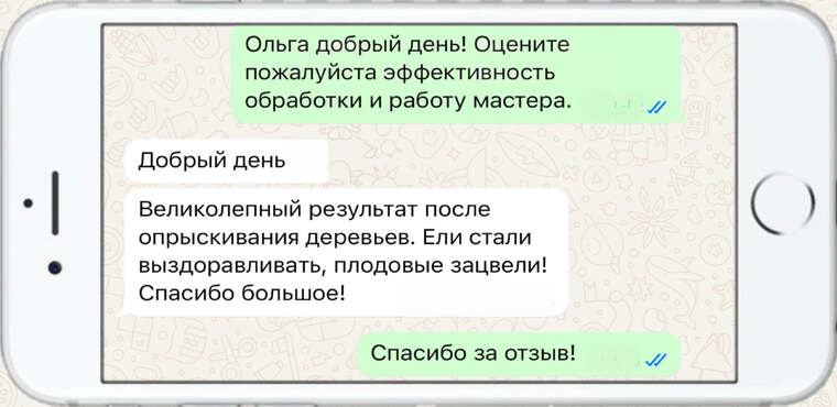 оказываем лечение деревьев от любых болезней - фото №3