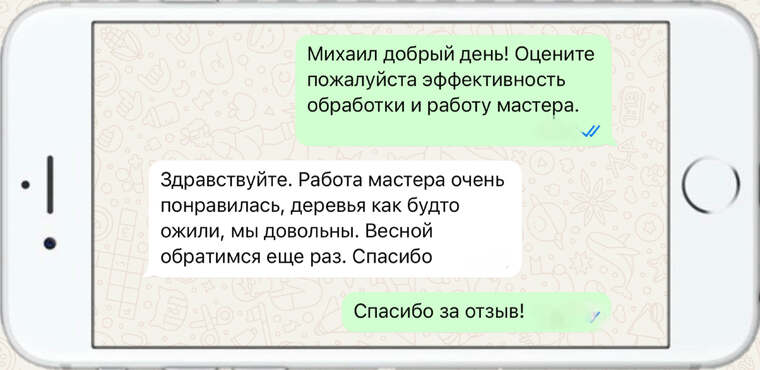 оказываем лечение деревьев от любых болезней - фото №8