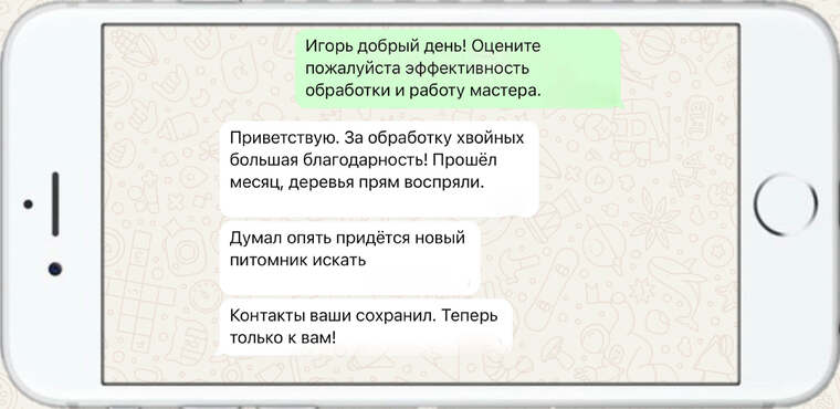 оказываем лечение деревьев от любых болезней - фото №12