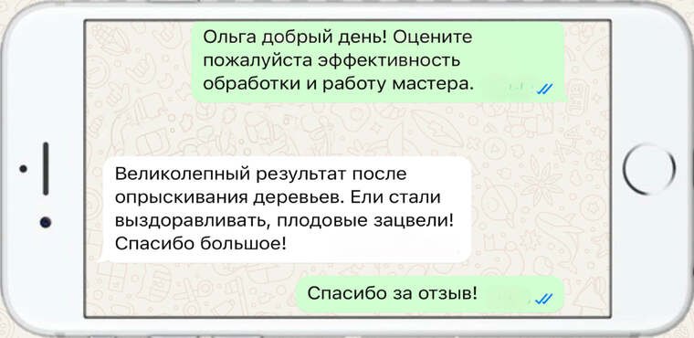 оказываем лечение деревьев от любых болезней - фото №13