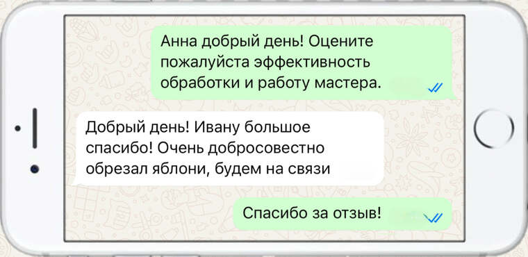 оказываем лечение деревьев от любых болезней - фото №15
