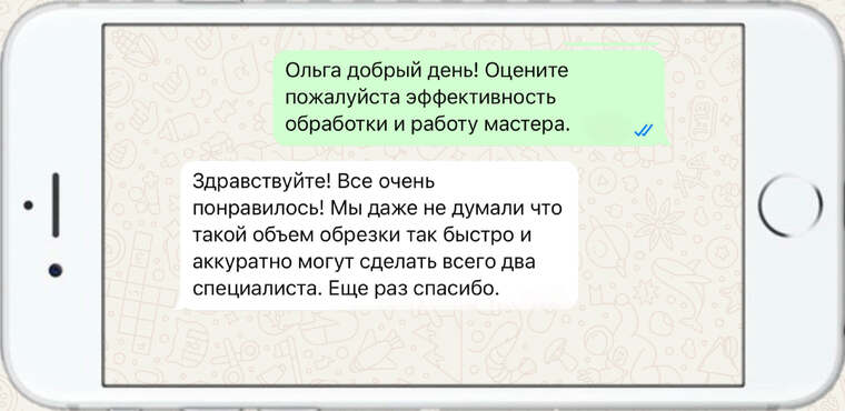 оказываем лечение деревьев от любых болезней - фото №17