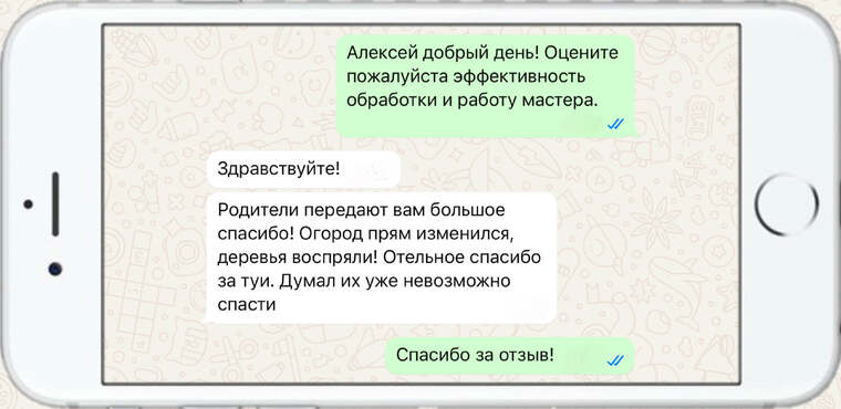 оказываем лечение деревьев от любых болезней - фото №18