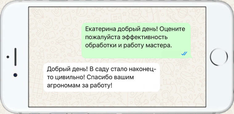 оказываем лечение деревьев от любых болезней - фото №21