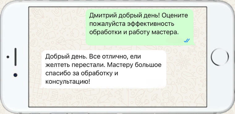 оказываем лечение деревьев от любых болезней - фото №24