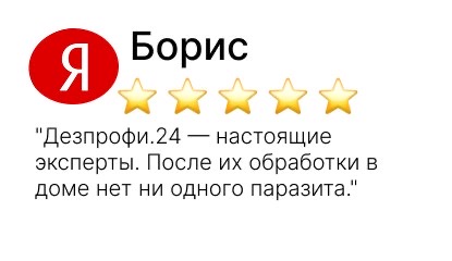 уничтожение тараканов - фото №15
