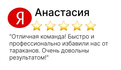 уничтожение тараканов - фото №17